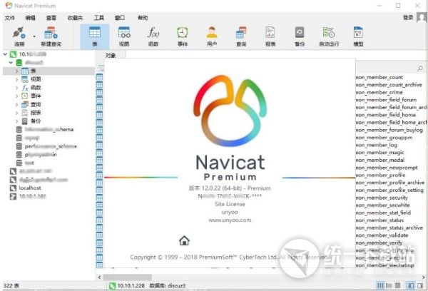 navicat premium 12 中文版下载