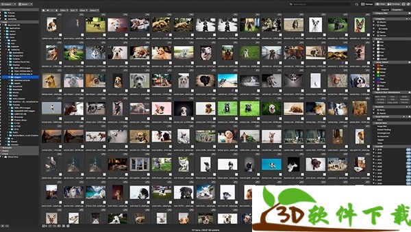 ACDSee Photo Studio 6 for Mac v6.28 中文破解版（附安装包+安装教程）