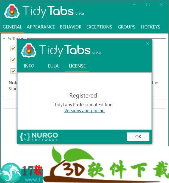 TidyTabs(桌面标签管理工具)破解版