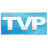TVPaint10 v10.0.16 中文破解版（附安装教程）