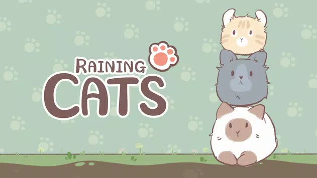 天降猫雨(RainingCats)